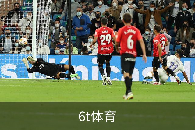 6t体育公司介绍图片